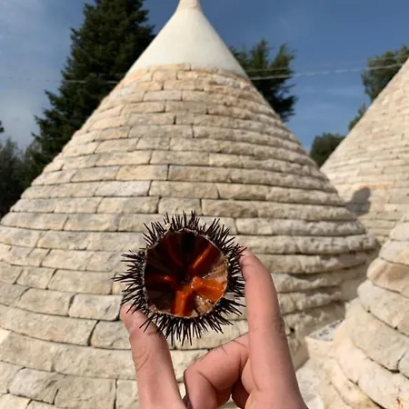 Bed & Breakfast I Trulli Del Tupparello Fasano